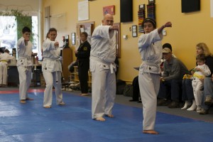 Beginning Adults and Older Juniors Learn Karate in a fun, safe atmosphere at Family Martial Arts Academy, Beaverton, OR 97008